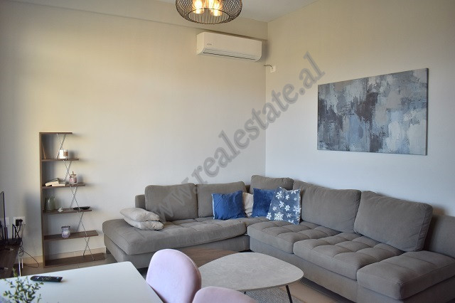 Apartament 2+1 me qira tek Kopshti Zoologjik prane Liqenit Artificial ne Tirane.
Pozicionohet ne ka